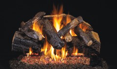 Charred Majestic Oak Vented Gas Logs